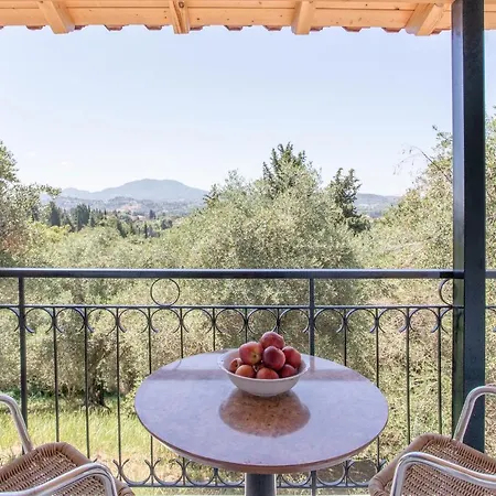 Olive Tree House