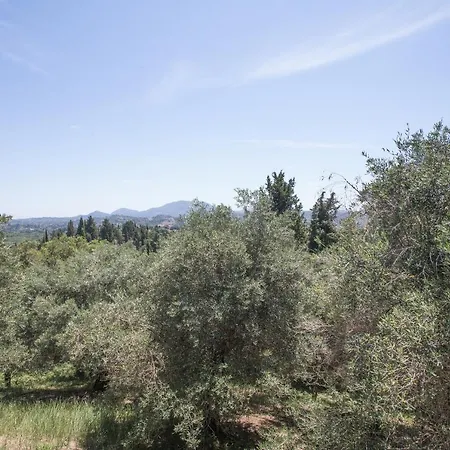 Holiday home Olive Tree House